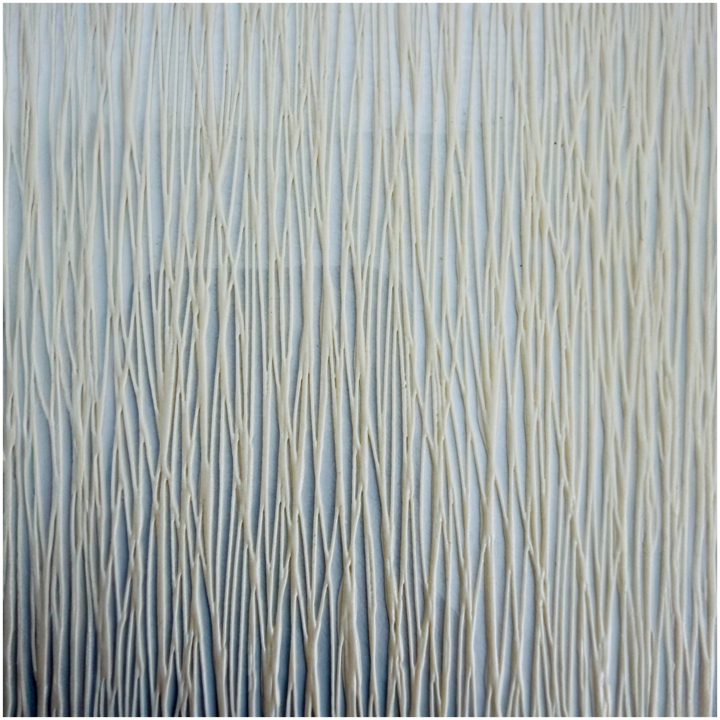 Elegant Cream Translucent Double Sided Dining Placemats (Set of 6