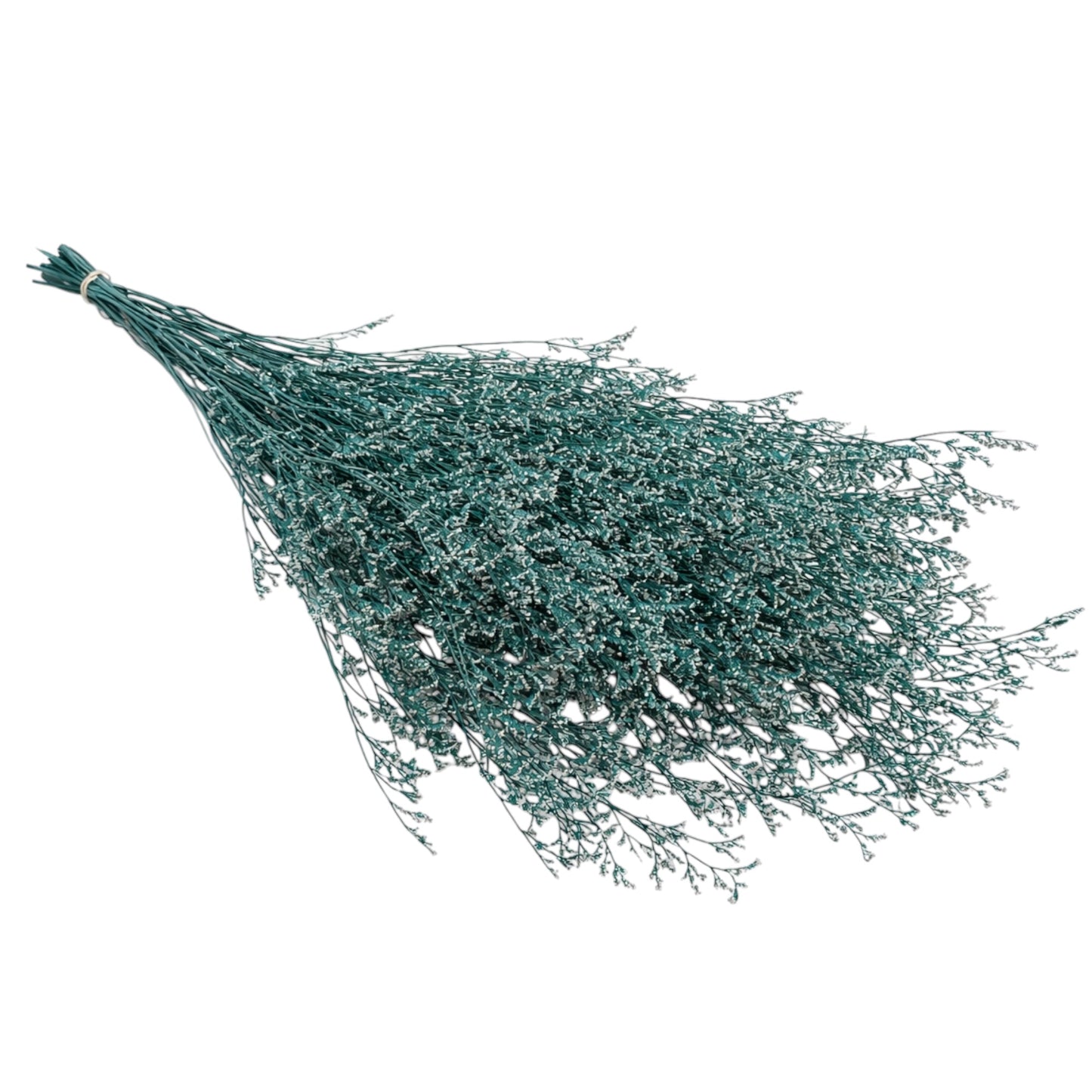 Natural Preserved Lavender Bouquet–Floral Stems-Green with Cream Tips-70 cm