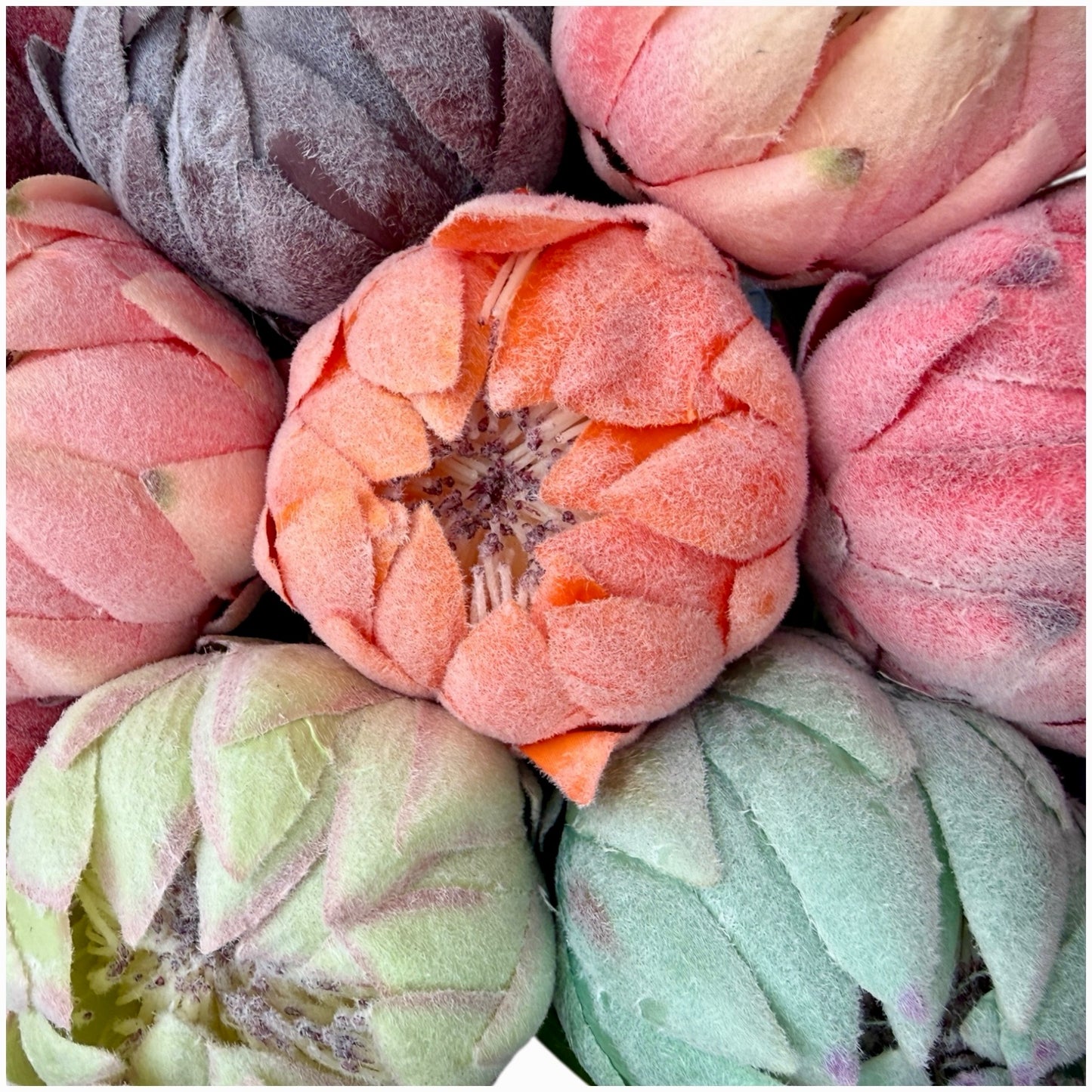 Protea Statement Bouquet – Luxury High End 12-Stem Decorative Arrangement