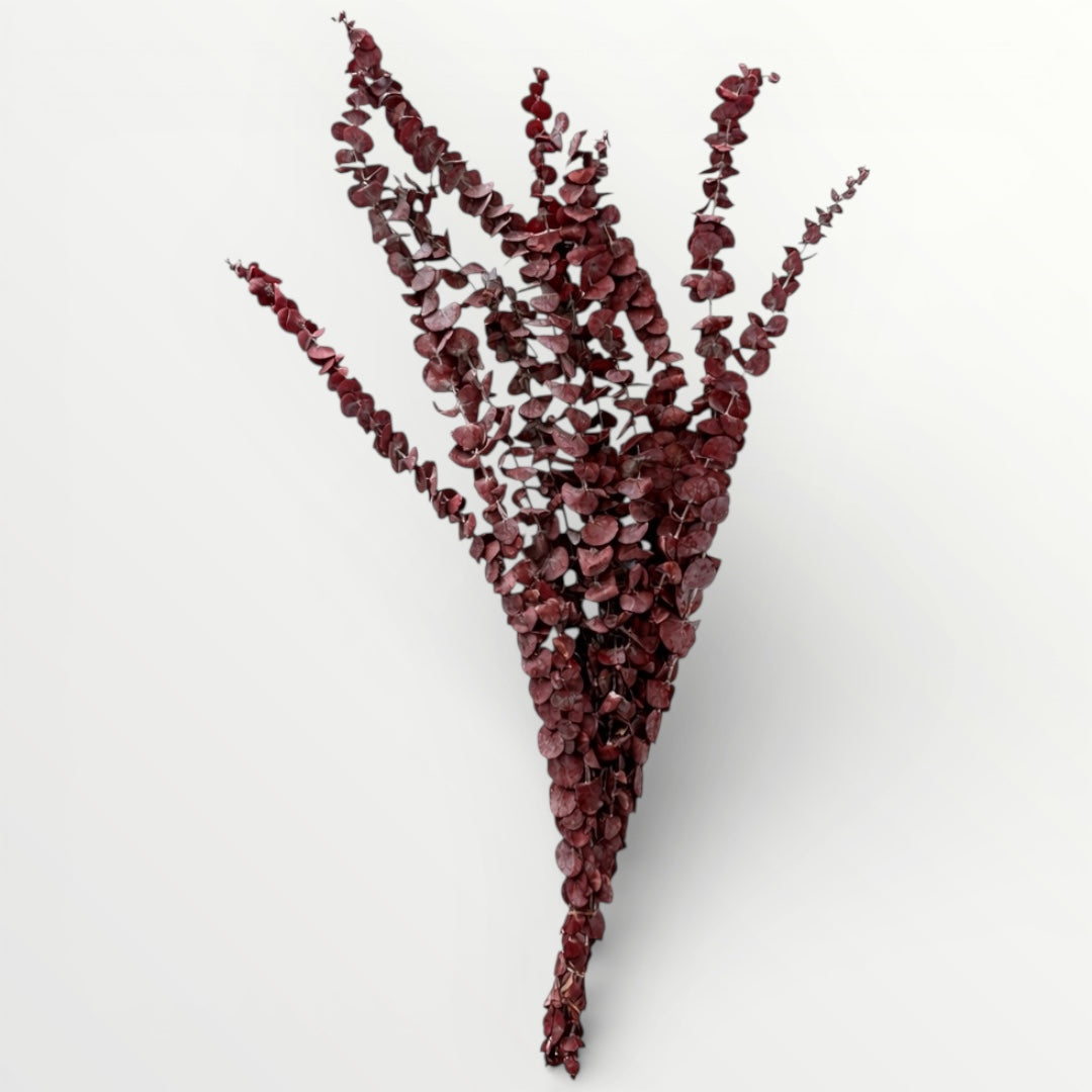 Elegant Burgundy Preserved Eucalyptus Stems – Modern Statement Déco