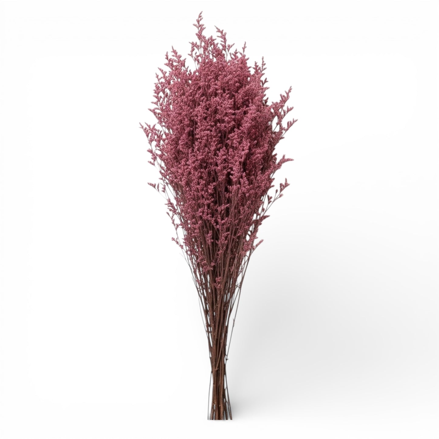 Preserved Elegant Caspia Stems – Dried Natural Floral Bouquet 80cm – Maroon