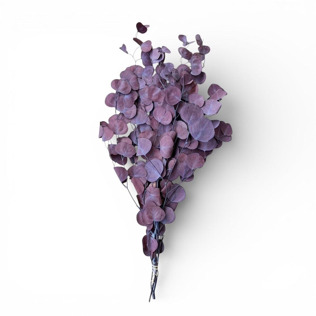 Preserved Dried Eucalyptus Stems – Natural Decorative Floral Bouquet 60cm