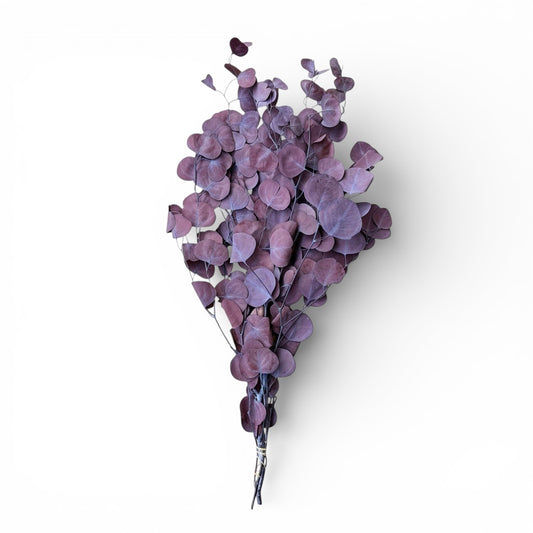 Preserved Dried Eucalyptus Stems – Natural Decorative Floral Bouquet 60cm