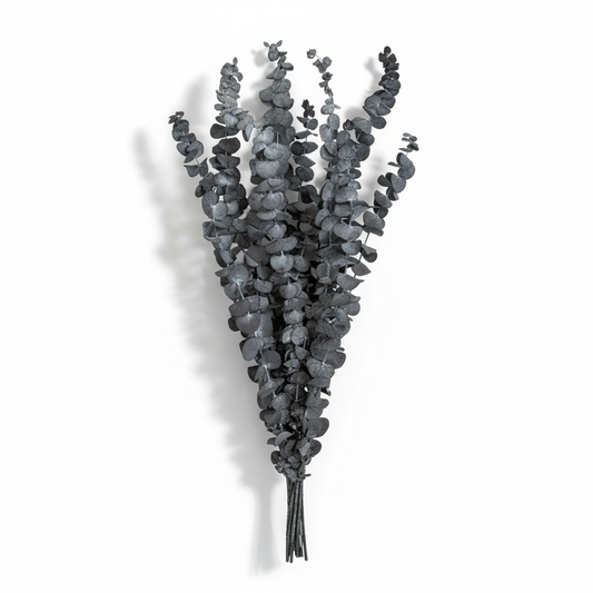 Preserved Eucalyptus Leaves – Elegant Natural Decorative Dried Stem Bouquet