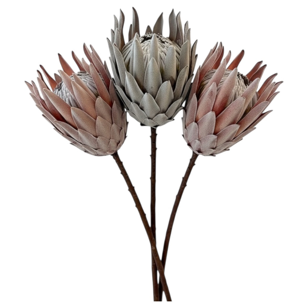 Luxury Artificial South African Protea Stems – Realistic Blooms (Set of 3)