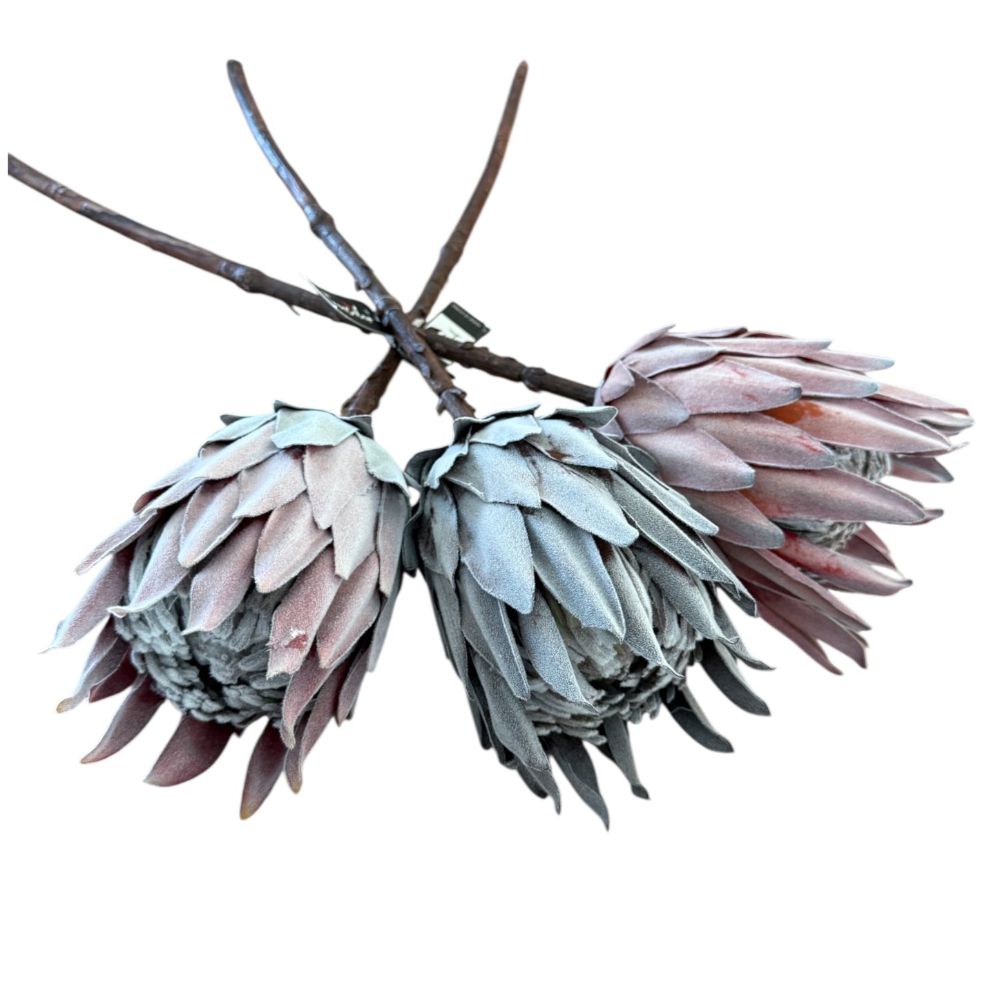 Luxury Artificial South African Protea Stems – Realistic Blooms (Set of 3)