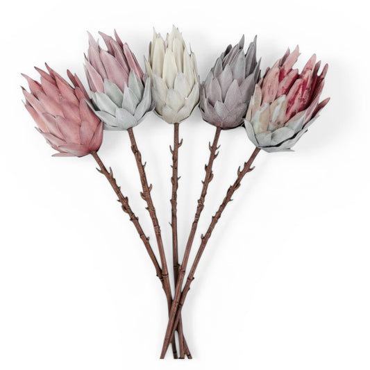 Luxury Beautiful King Protea Stems –South African National Flower -Set of 5
