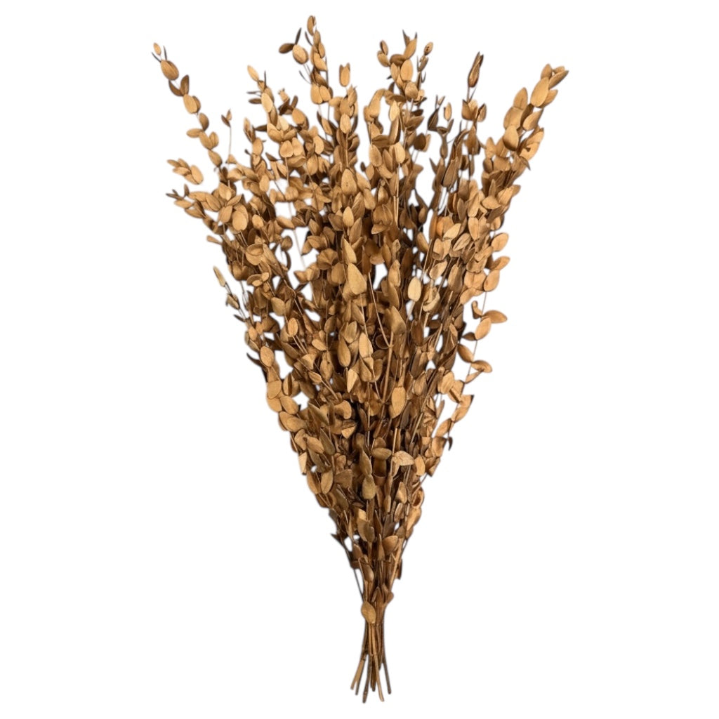 Luxury Gold Eucalyptus Stems – Decorative Botanical Metallic Bouquet- 55 cm