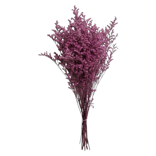 Elegant Preserved Caspia - Dried Flower Bouquet -70cm - Purple Home Decor