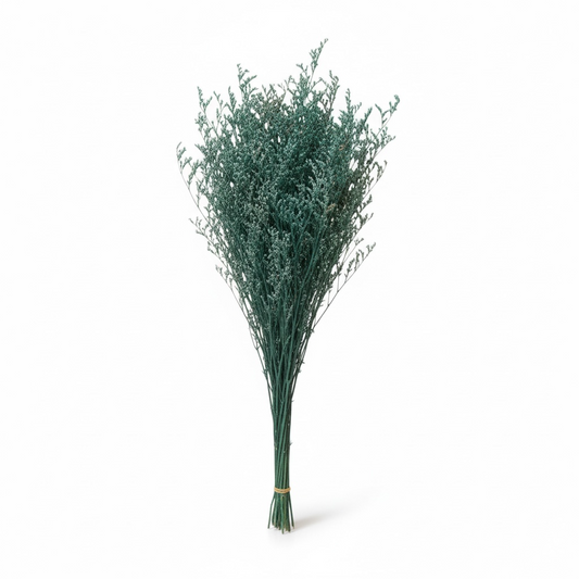 Natural Preserved Lavender Bouquet–Floral Stems-Green with Cream Tips-70 cm