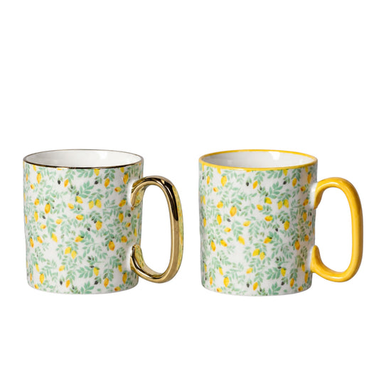 2-Piece Floral Porcelain Coffee Mug Set–Elegant Hot and Cold Beverage Mugs