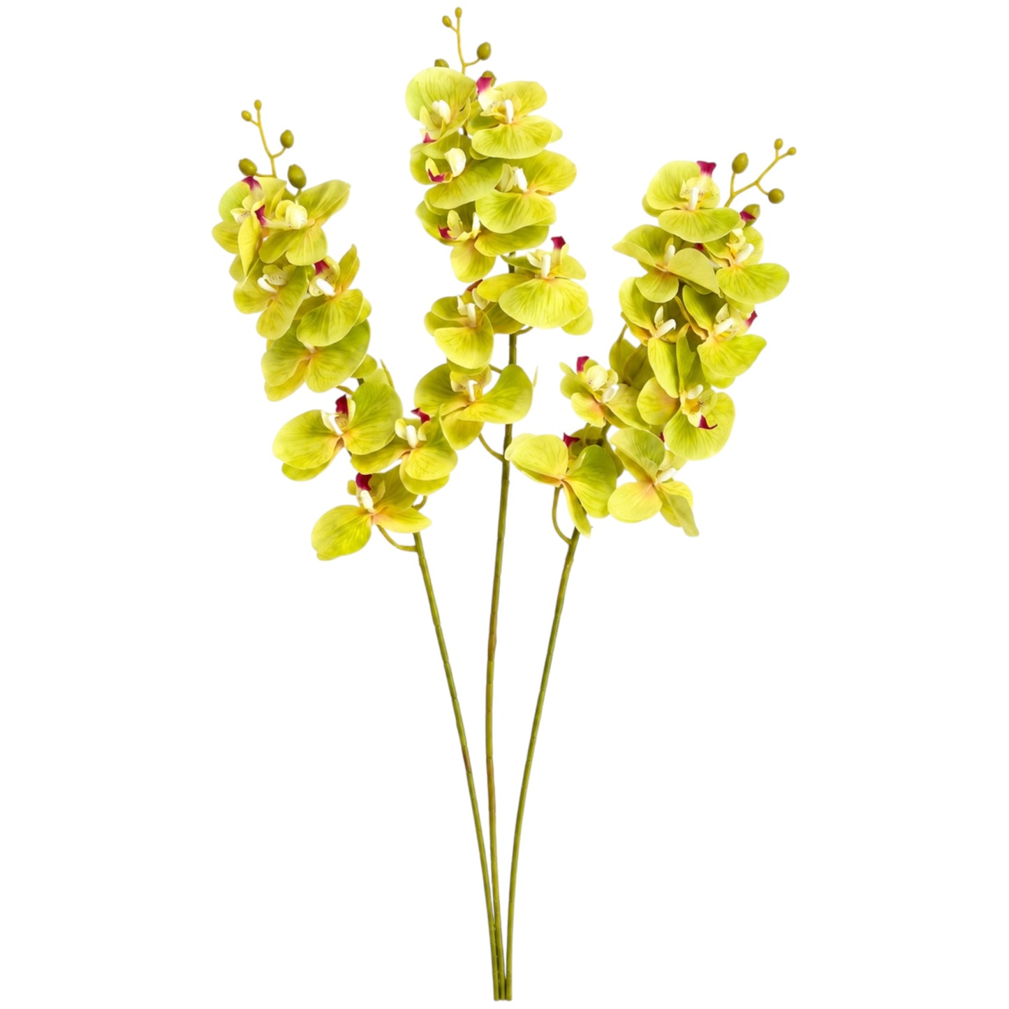 Three artificial orchid stems with lime green leaves and small pink accents, photographed against a solid white background.