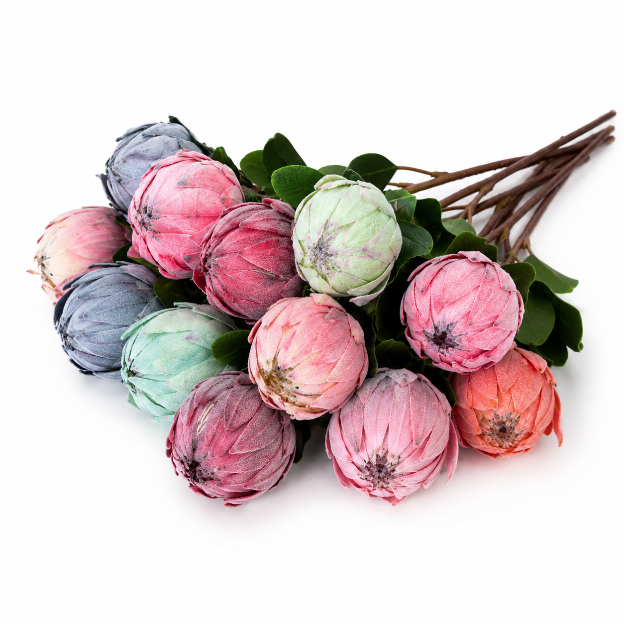 Protea Statement Bouquet – Luxury High End 12-Stem Decorative Arrangement